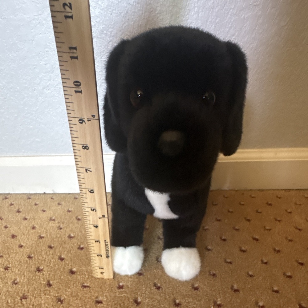 Douglas Plush Dog TWISTER BLACK LAB MIX Puppy  White Feet Red Collar Stands 12”